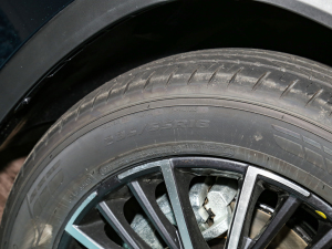 2022290T (q)嫰 7 ݆̥ߴ