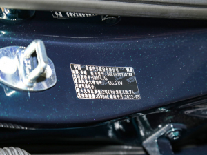 2022款290T 两驱浩瀚版 7座 其它