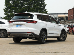 2022款290T 两驱星际版 5座 右后45度