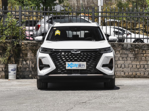 2022款290T 两驱风暴版 7座 正前