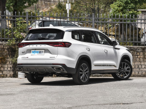 2022款290T 两驱风暴版 7座 右后45度