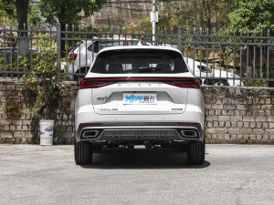 2022款290T 两驱风暴版 7座 正后	