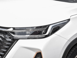 2022款290T 两驱风暴版 7座 大灯