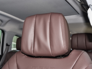 2022290T (q)L(fng) 7 g