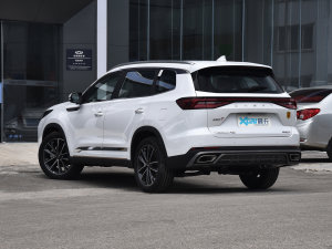 2022款290T 两驱星际版 7座 左后45度