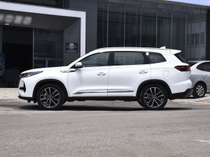 2022款290T 两驱星际版 7座 正侧（左）
