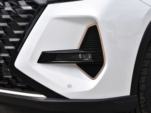 2022款290T 两驱星际版 7座 前雾灯