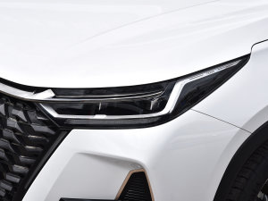 2022款290T 两驱星际版 7座 大灯