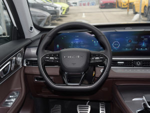 2022款290T 两驱星际版 7座 方向盘