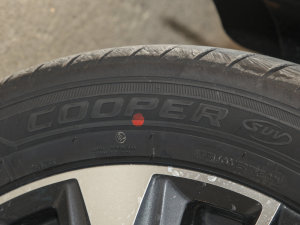 2022390T 嫰 5 ݆̥Ʒ