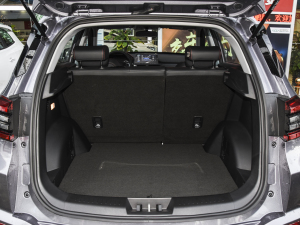 2022Ӣ۰ 1.5L քӕr g