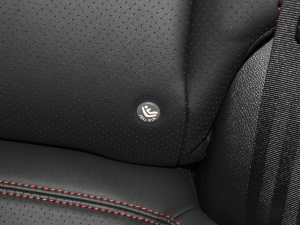 2022Ӣ۰ 1.5L քӕr g