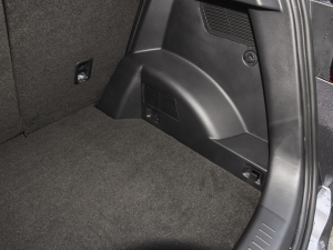 2022Ӣ۰ 1.5L քӕr g