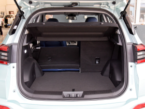 2022PLUS ؈ 1.5T CVTƷ g