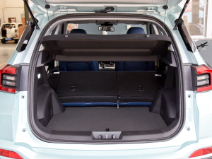 2022PLUS ؈ 1.5T CVTƷ g