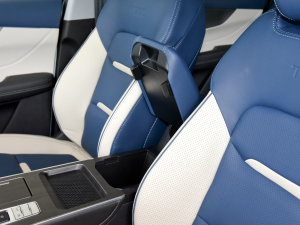 2022PLUS ؈ 1.5T CVTƷ g