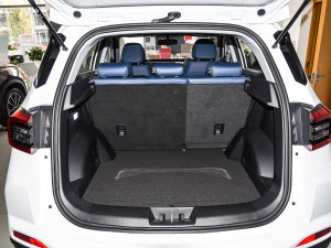 2022PLUS ؈ 1.5T CVTƷ g