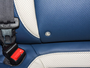 2022PLUS ؈ 1.5T CVTƷ g