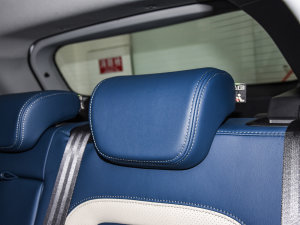 2022PLUS ؈ 1.5T CVTƷ g