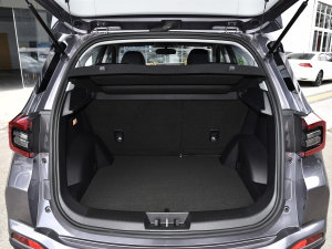 2022Ӣ۰ 1.5L CVTr g