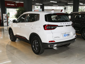 2022PLUS ؈ 1.5L քƷ 45