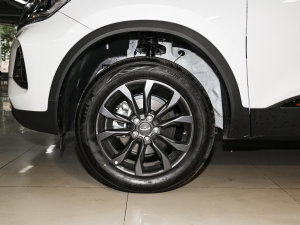 2022PLUS ؈(lin) 1.5L ք(dng)Ʒ ݆Ȧ