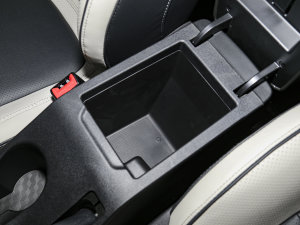 2022PLUS ؈ 1.5L քƷ g