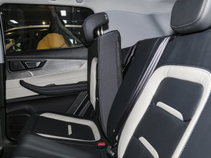 2022PLUS ؈ 1.5L քƷ g