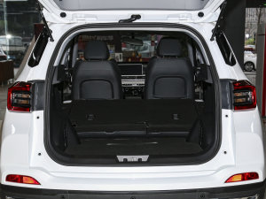 2022PLUS ؈ 1.5L քƷ g