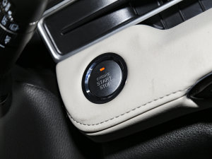 2022PLUS ؈ 1.5L քƷ п؅^