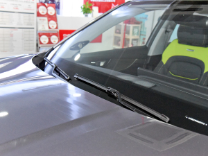 2022Hi 1.6TGDI DCTFS޶ ˢ