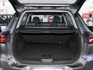 2022Hi 1.6TGDI DCTFS޶ g