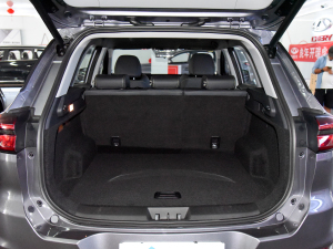 2022Hi 1.6TGDI DCTFS޶ g