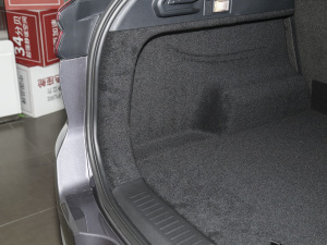 20221.5T CVTFS޶ F g