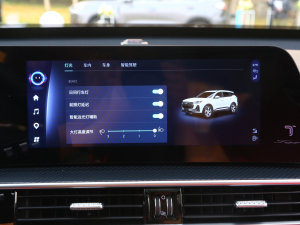 20231.6TGDI DCTŞ п؅^(q)