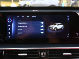 20231.6TGDI DCTŞ п؅^(q)