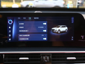 20231.6TGDI DCTŞ п؅^