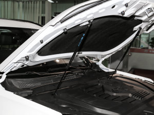 2023ܰ 1.5T CVTʿ 