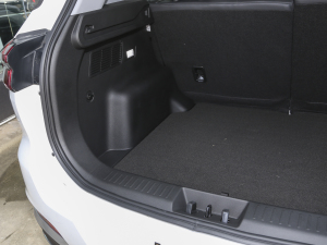 2023ܰ 1.5T CVTӢ g