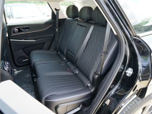 2023Ŀ 2.0T pxσ(q)I(lng)Ȱ 5 g