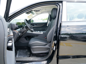 2023Ŀ 2.0T pxσ(q)I(lng)Ȱ 5 g