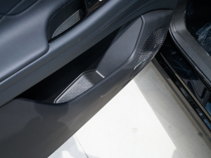 2023Ŀ 2.0T pxσ(q)I(lng)Ȱ 5 g