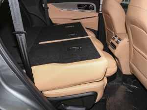 20232.0T Ԅ(dng)(q)A 5 g