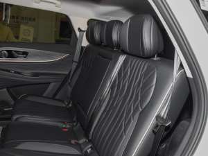 20232.0T Ԅ(dng)(q)A 7 g