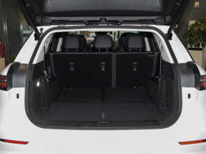 20232.0T Ԅ(dng)(q)A 7 g