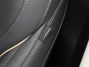 20231.5T CVTPLUS п؅^