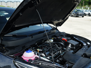 2023款1.5L CVT享PLUS 其它