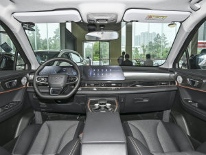 20231.5T CVT³PLUS (ni)ȫ