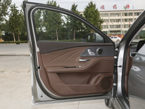 2023ܰ 2.0T DCTY {λ܇T