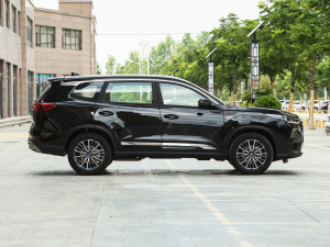 2024܊ 290T Wҫ 5 ȣң